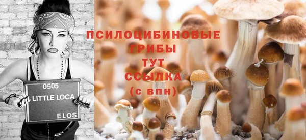 мдма Беломорск