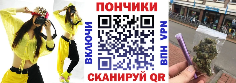 Канабис ГИДРОПОН  купить наркоту  Шилка 